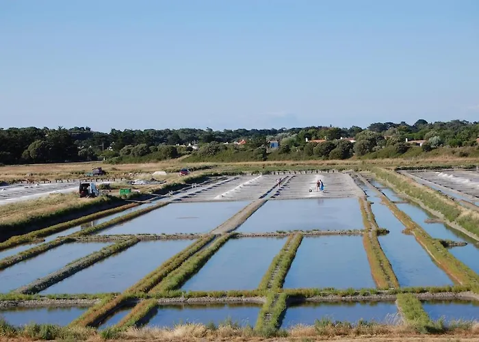La Maison D'ete Casa de Férias
